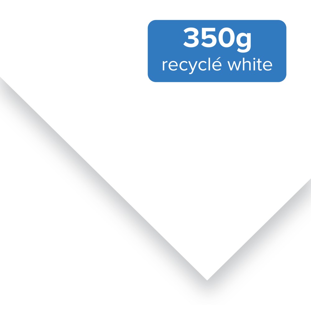 Carte de visite 350g papier recyclé white
