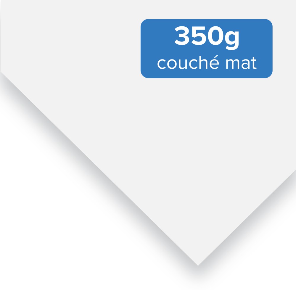 Carterie 350g couché demi mat