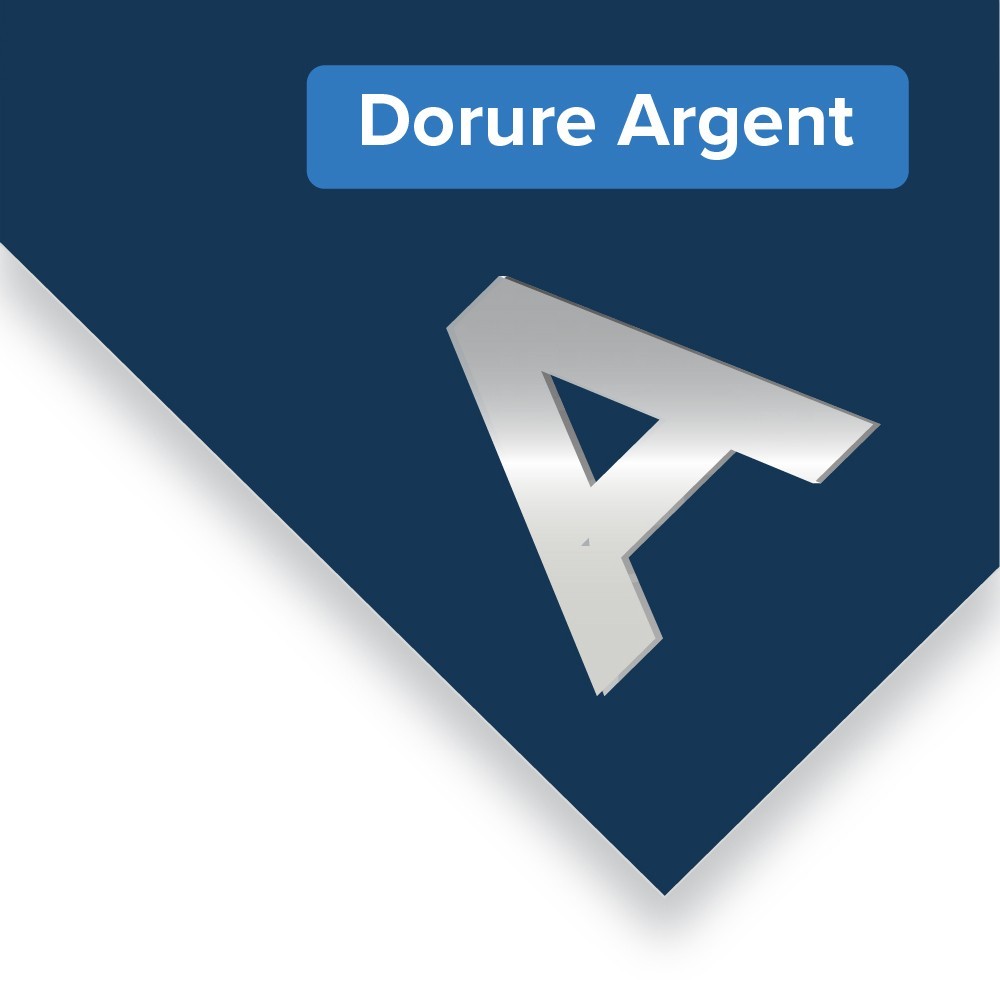 Carterie dorure argent