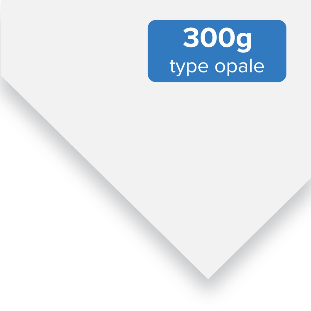 Carterie 300g type opale